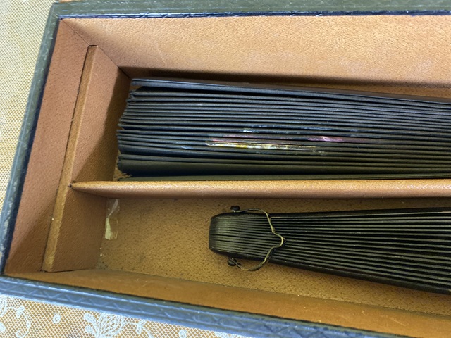 12 antique fan box 1886