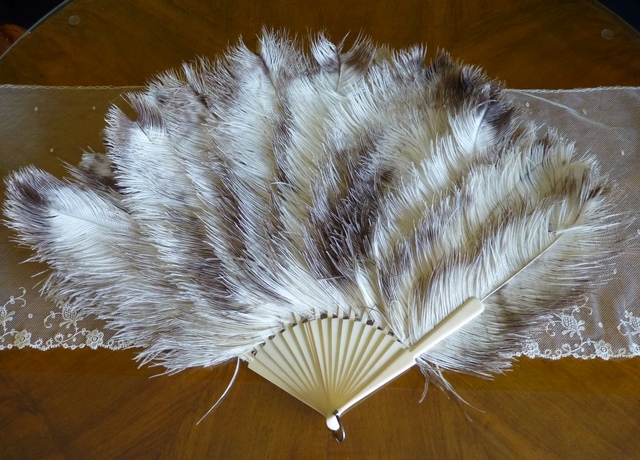 2 antique marabu feather fan 1890