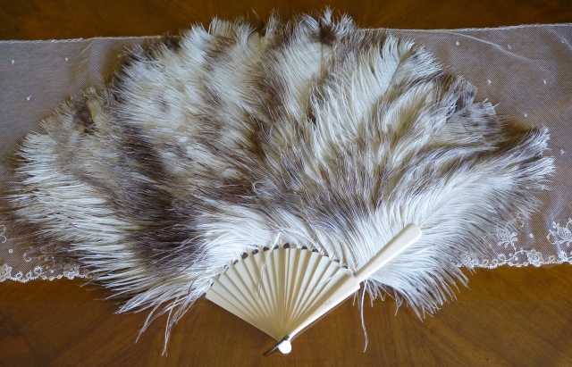 3 antique marabu feather fan 1890