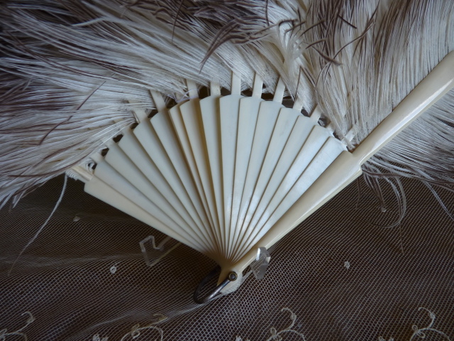 5 antique marabu feather fan 1890