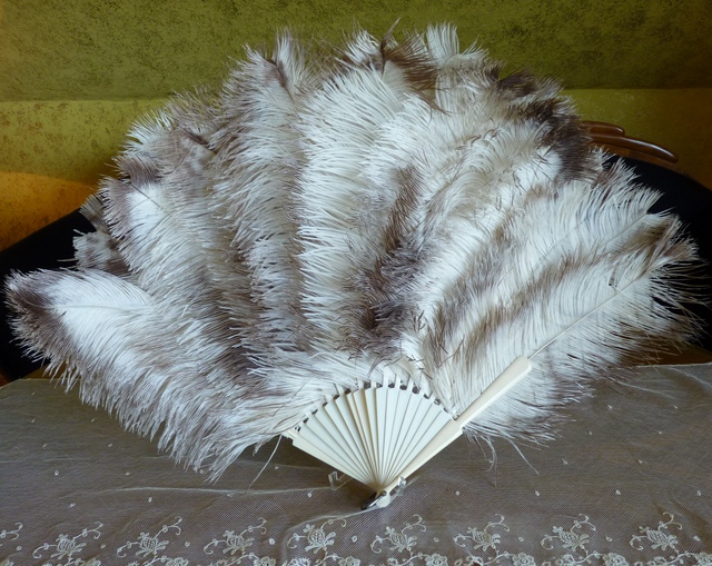 antique marabu fan 1890