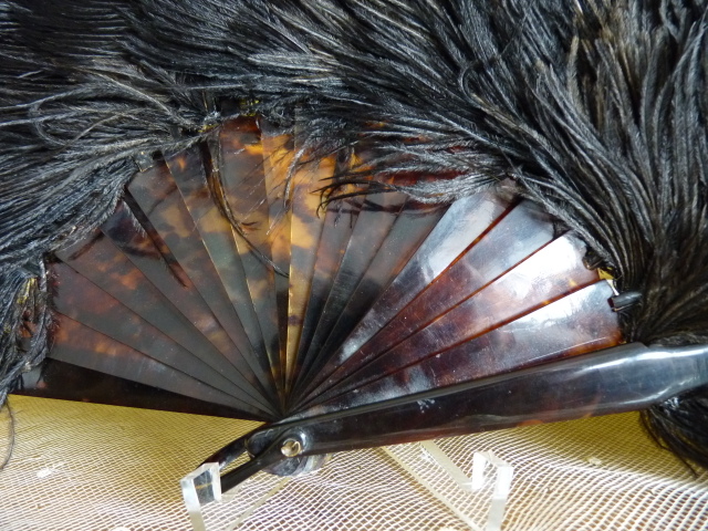 7 antique feather fan 1895