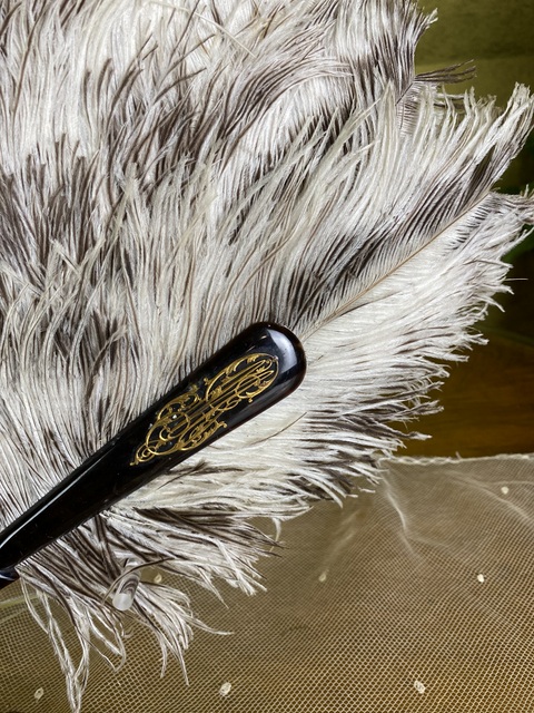 2 antique duvelleroy ostrich feather fan 1905