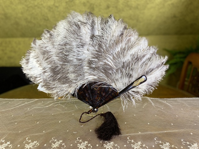 6 antique duvelleroy ostrich feather fan 1905