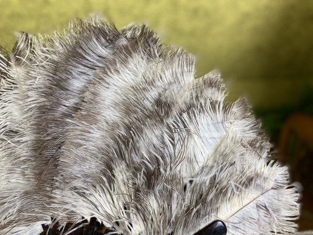 9 antique duvelleroy ostrich feather fan 1905