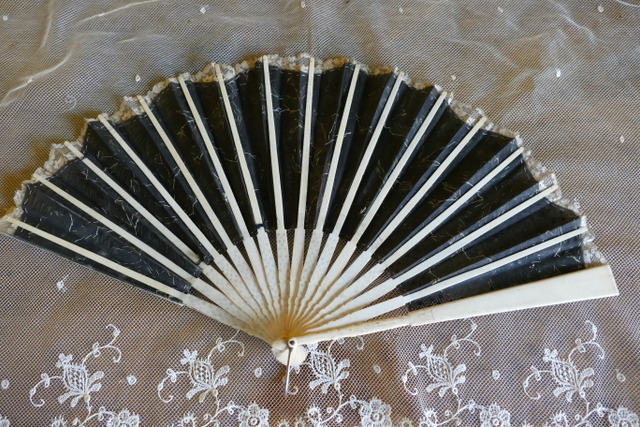 7 antique fan 1901