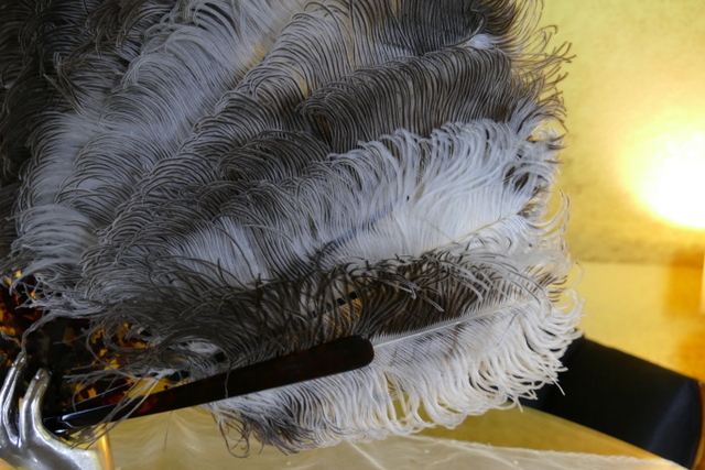 11 antique feather fan 1889