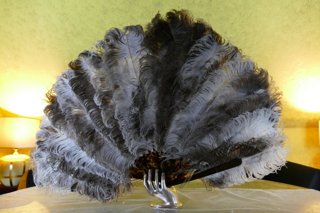9 antique feather fan 1889