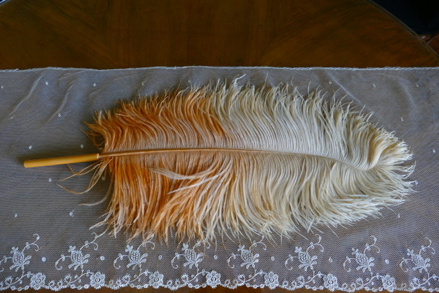 1 antique single feather fan 1910