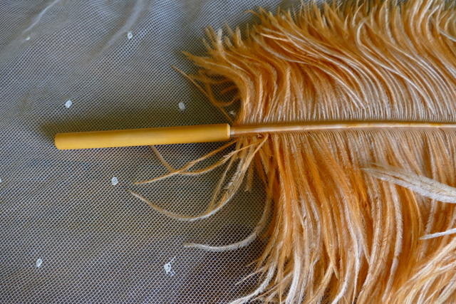 5 antique single feather fan 1910