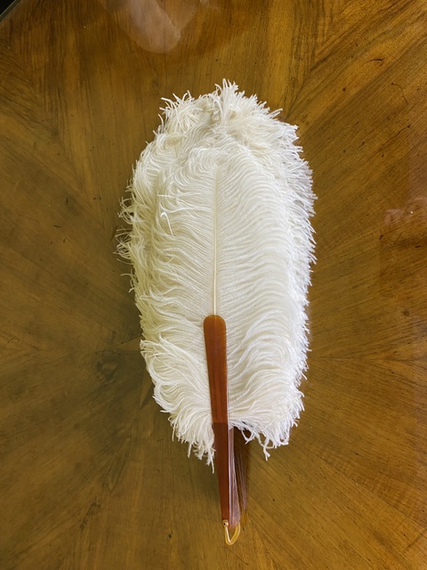 10 antique wedding feather fan 1900