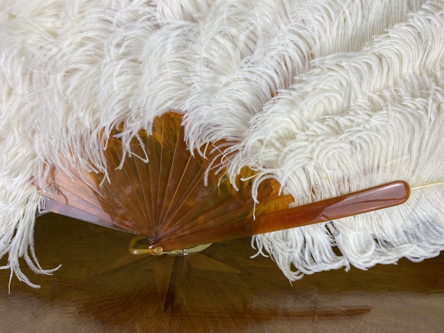 6 antique wedding feather fan 1900