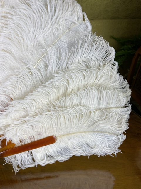 8 antique wedding feather fan 1900