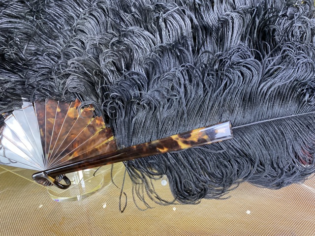 5 antique ostrich feather fan 1900