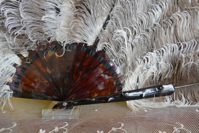 5 antique feather fan 1900
