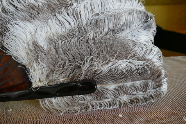 6 antique feather fan 1900