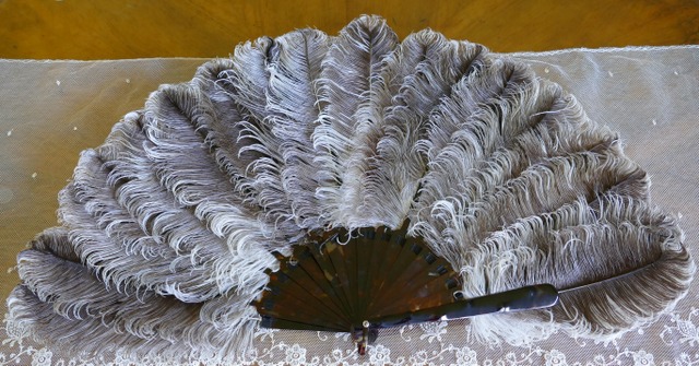 7 antique feather fan 1900
