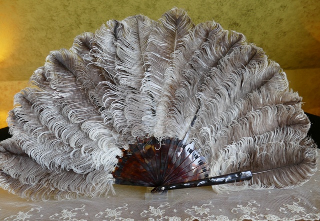 8 antique feather fan 1900