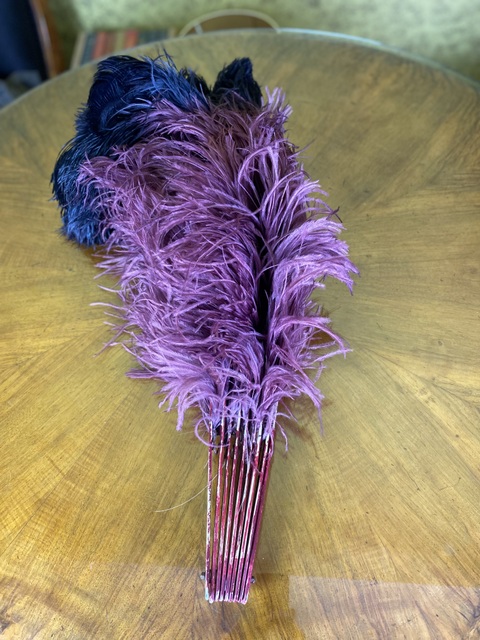 12 antique show ostrich feather fan 1920