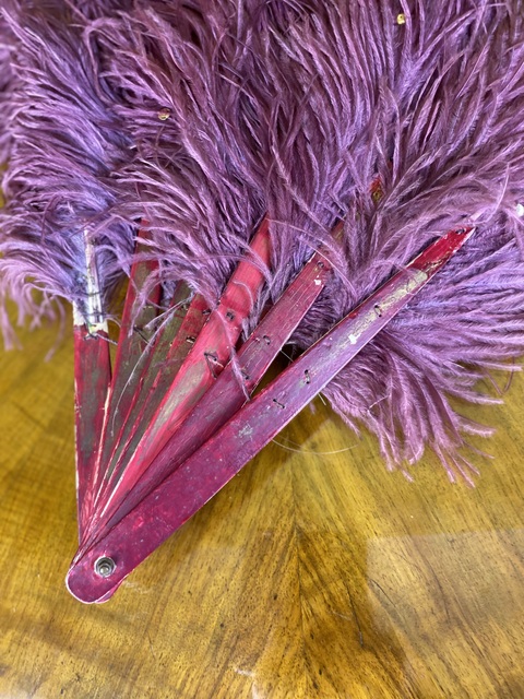 6 antique show ostrich feather fan 1920