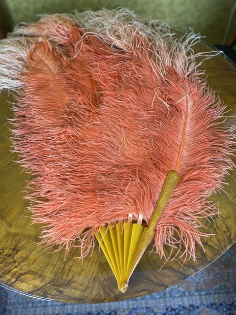14 antique ostrich feather fan.1920