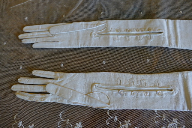 6 antique gloves 1905