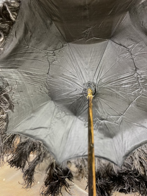 9 antique cazal parasol 1870