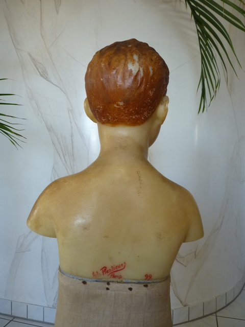 14 antique wax bust