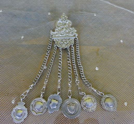 chatelaine brooch 1902