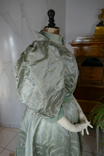 29 antique reception gown 1895