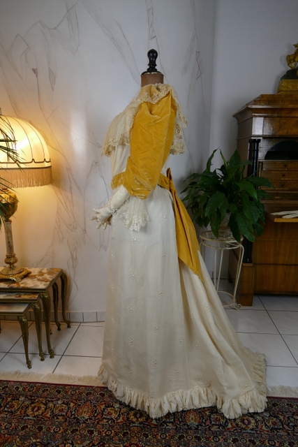 17 antique evening dress 1895