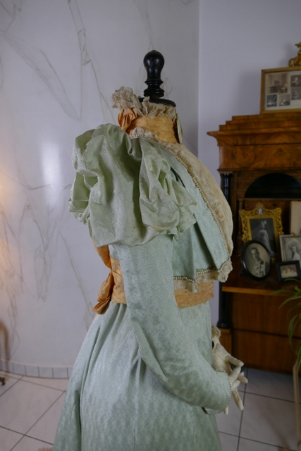 28 antique promenade gown Marie Robel 1898