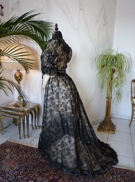 30 antique reception gown 1898