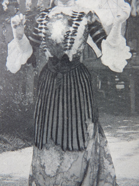 5 antique beer dress 1901