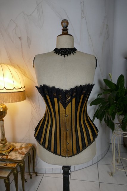 11 antique dermathistic corset 1888