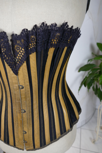 14 antique dermathistic corset 1888