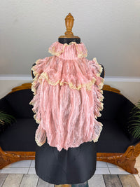 Pink ruffled French bust insert c.1901 with high standing collar and layered Belle Époque frills.