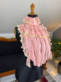 Pink ruffled French bust insert c.1901 with high standing collar and layered Belle Époque frills.