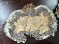 Antique bird skin of two birds‑of‑paradise, preserved trade skins, ca. 1900