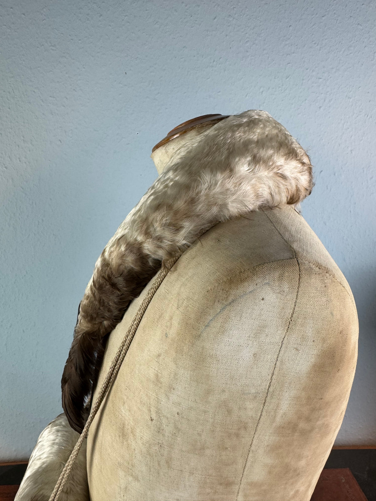Antiker Gänsefedermuff und -kragen, England, ca. 1890 – Kinderaccessoire