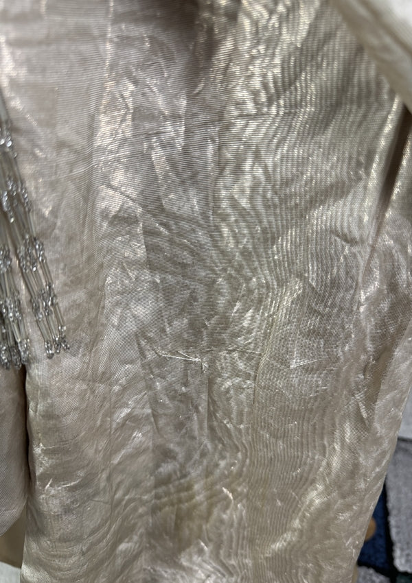 Antikes silbernes Lamé-Abendkleid aus der Titanic-Ära, ca. 1912