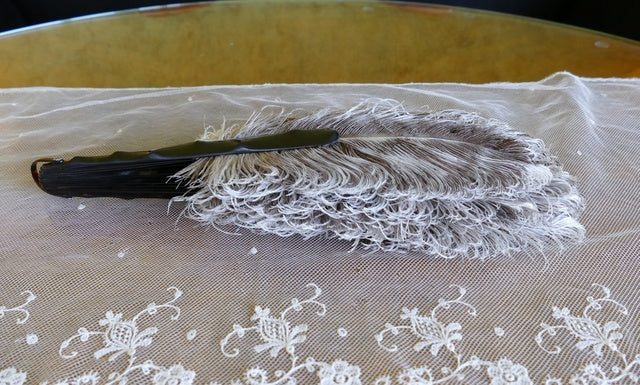 Fächer aus grauen Straußenfedern, ca. 1900