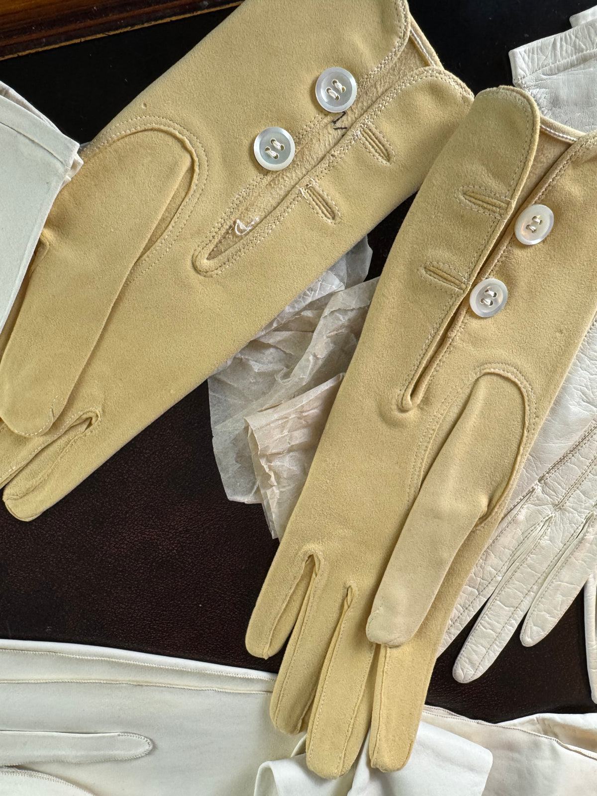 ROYAL Antike Hochzeits-Handschuh-Sammlung der Erzherzogin Maria Immakulata, Fr. Adam’s Sohn Wien, 1900