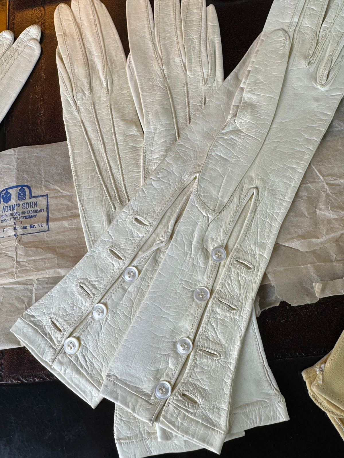 ROYAL Antike Hochzeits-Handschuh-Sammlung der Erzherzogin Maria Immakulata, Fr. Adam’s Sohn Wien, 1900