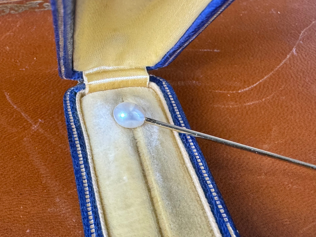 Antique 585 gold tie pin with pearl in original Friedländer Berlin presentation case, collectible linked to Kaiser Wilhelm II