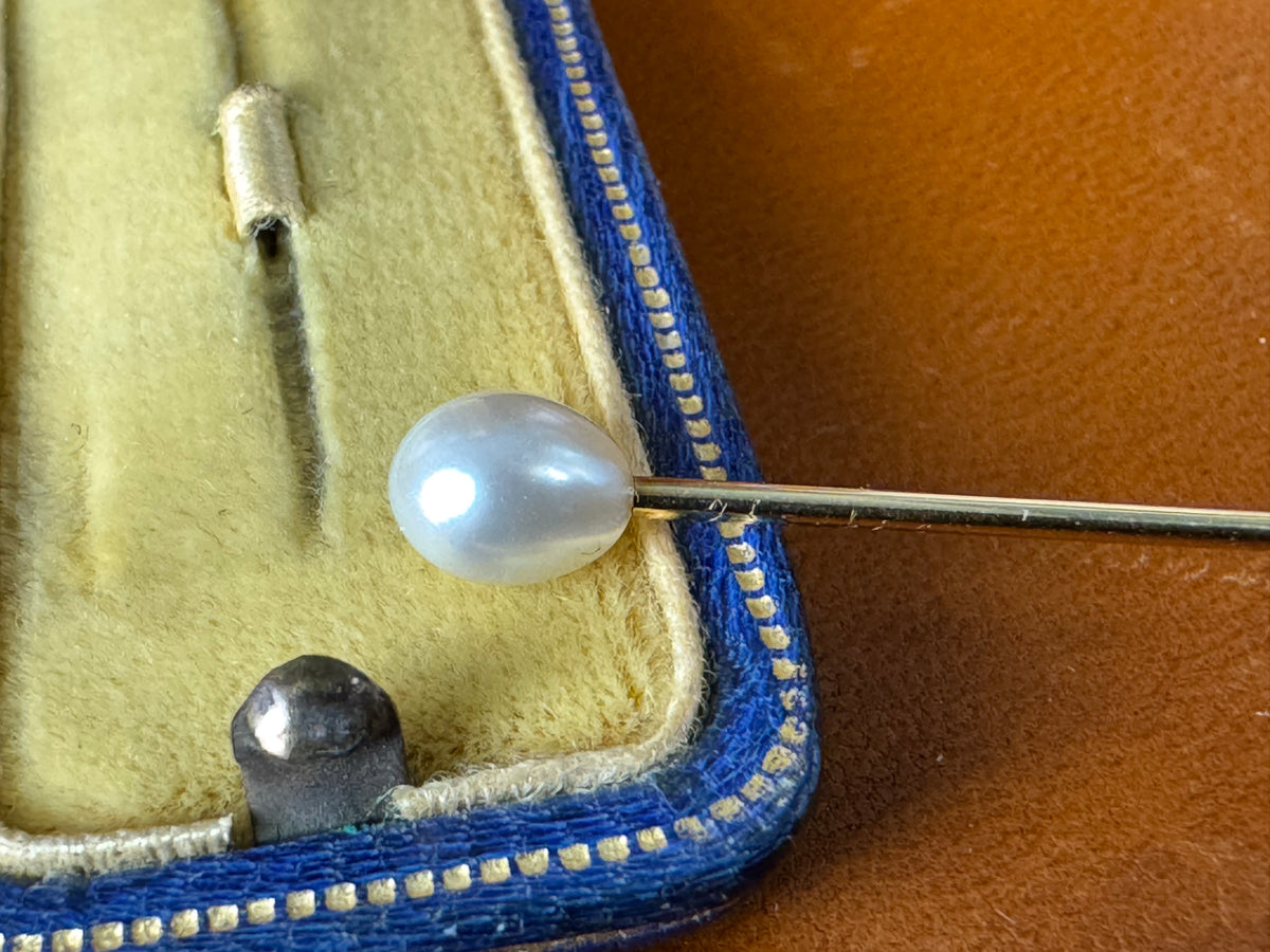 Antique 585 gold tie pin with pearl in original Friedländer Berlin presentation case, collectible linked to Kaiser Wilhelm II