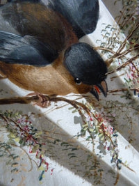 Faltfächer, Vogelmotiv, um 1900
