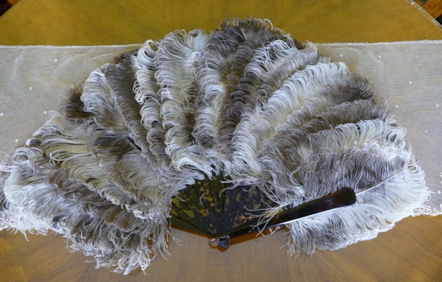 Fächer aus Straußenfedern, datiert 1889