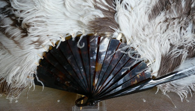 Braun-weißer Fächer aus Straußenfedern, ca. 1900