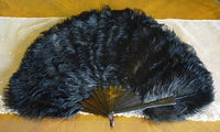 Schwarzer Fächer aus Straußenfedern, Adelsbesitz, ca. 1895